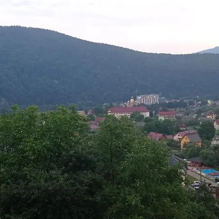 лісовичок *