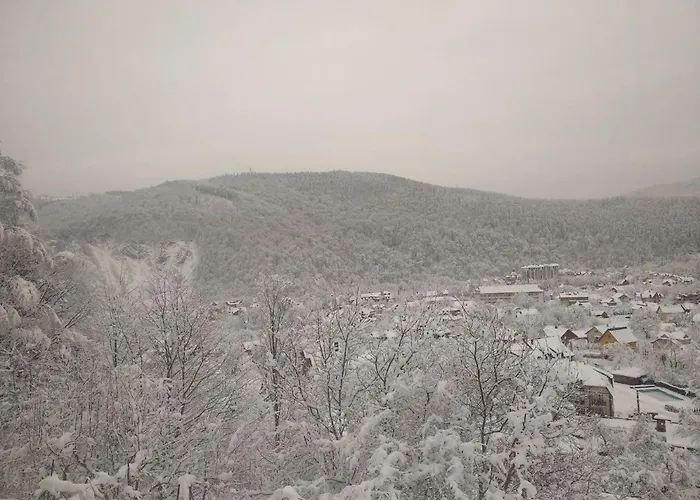 лісовичок